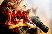 Predators image