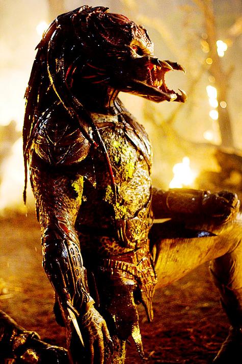 Predators image 02