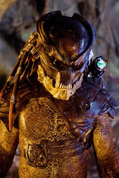 Predators image 08