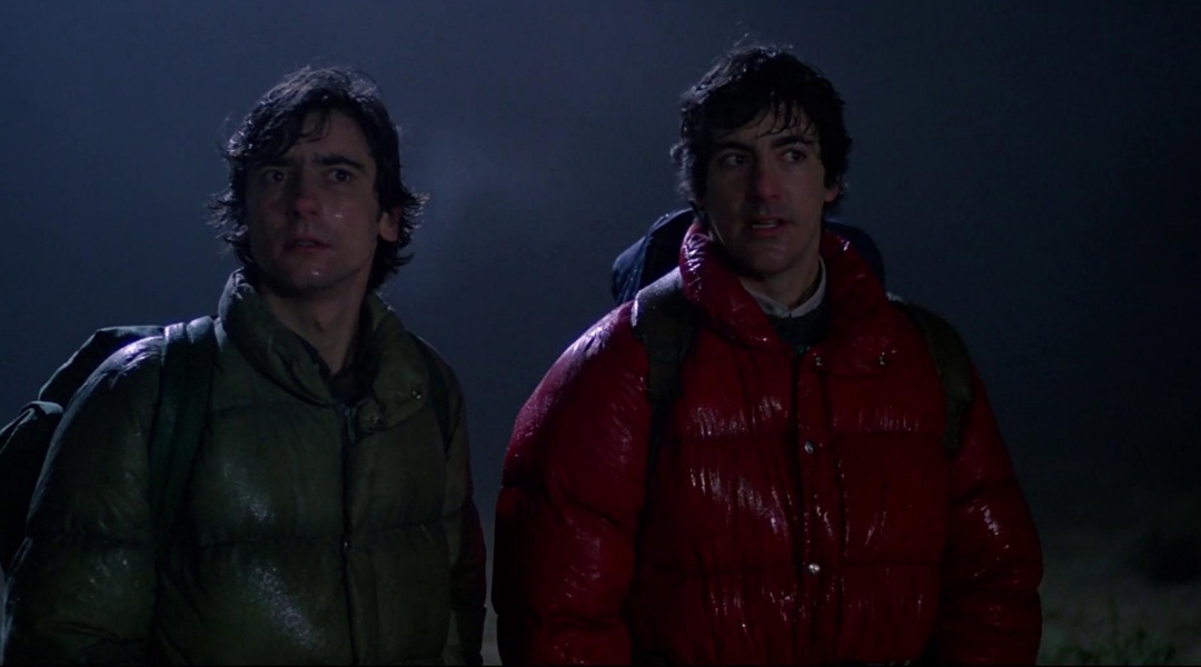An American Werewolf in London image