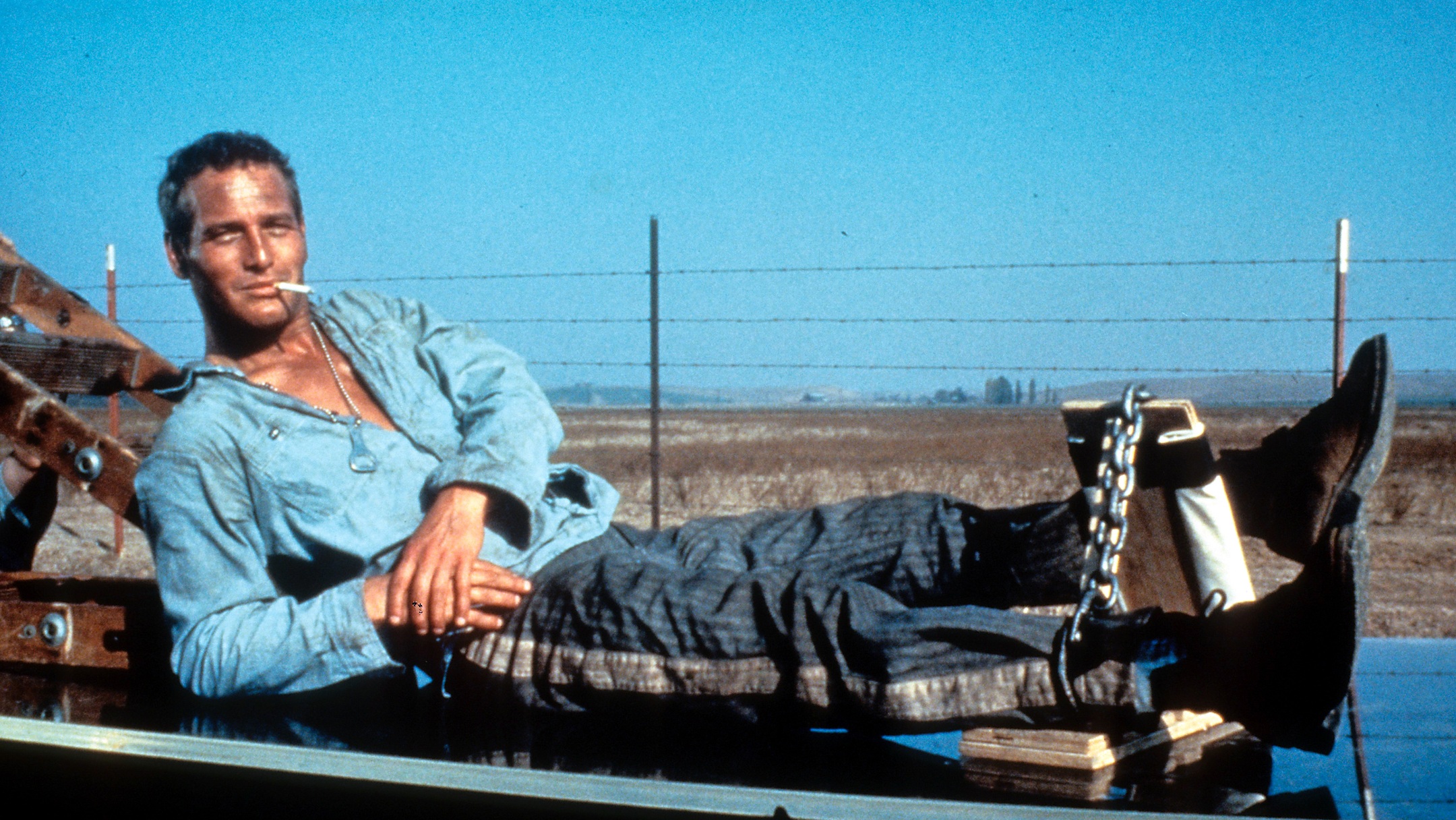 Cool Hand Luke image