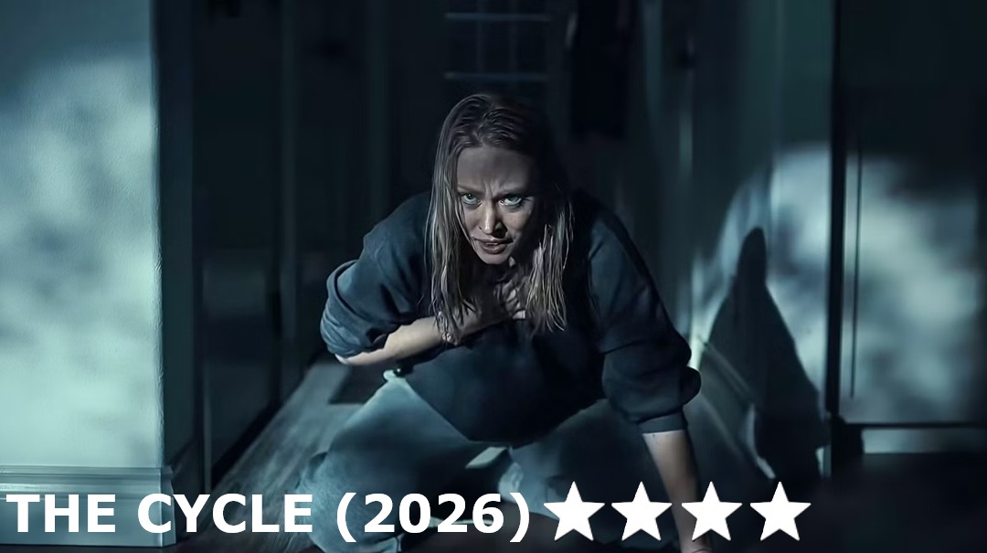 The Cycle image