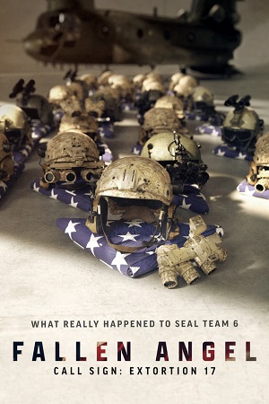 Fallen Angel - Call Sign: Extortion 17 image