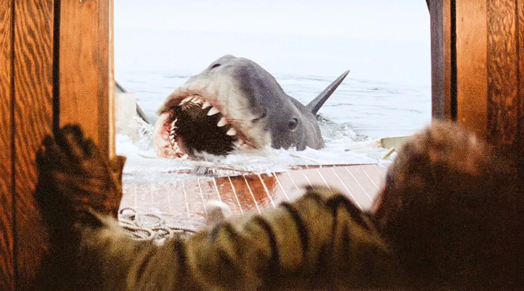 Jaws image